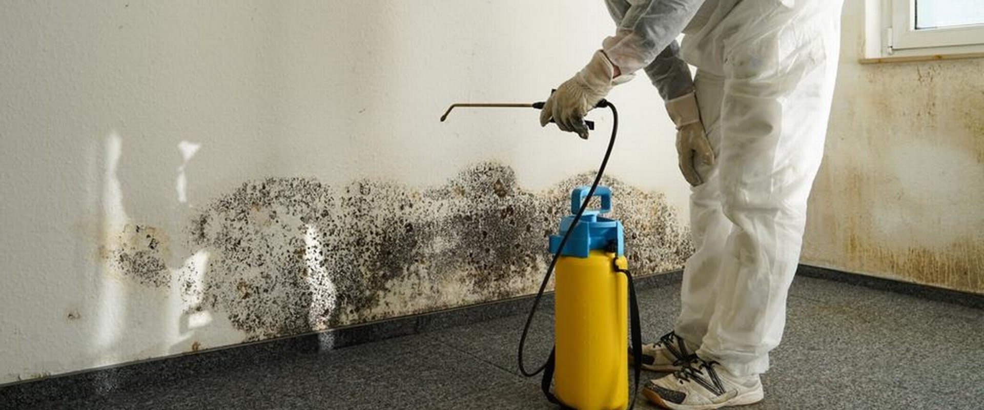 DIY Methods for Mold Removal: A Comprehensive Guide to Emergency Home Restoration