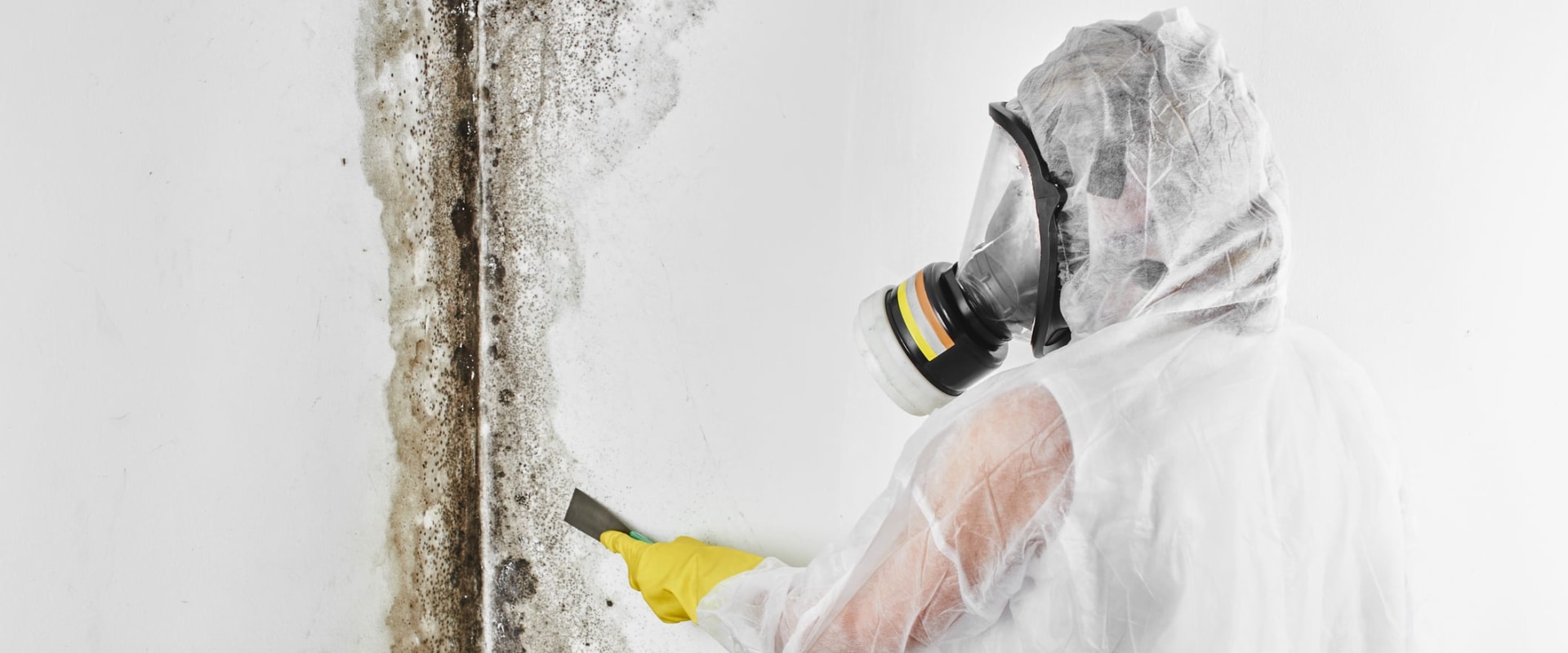 Testing for Mold in Your Home: A Comprehensive Guide for Homeowners