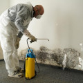 DIY Methods for Mold Removal: A Comprehensive Guide to Emergency Home Restoration