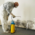 Hiring a Professional Mold Remediation Service: What You Need to Know