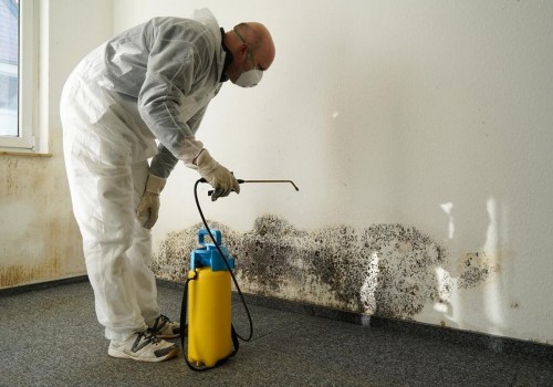 DIY Methods for Mold Removal: A Comprehensive Guide to Emergency Home Restoration