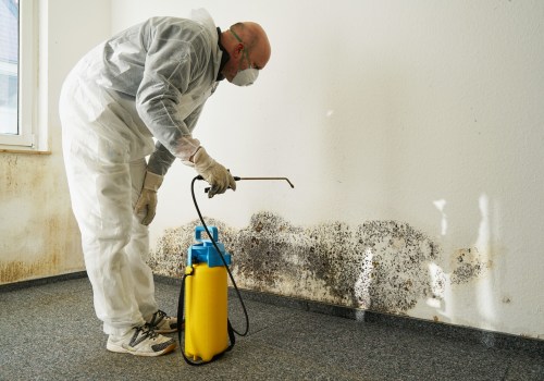 Hiring a Professional Mold Remediation Service: What You Need to Know