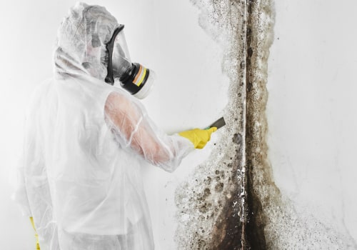 Testing for Mold in Your Home: A Comprehensive Guide for Homeowners